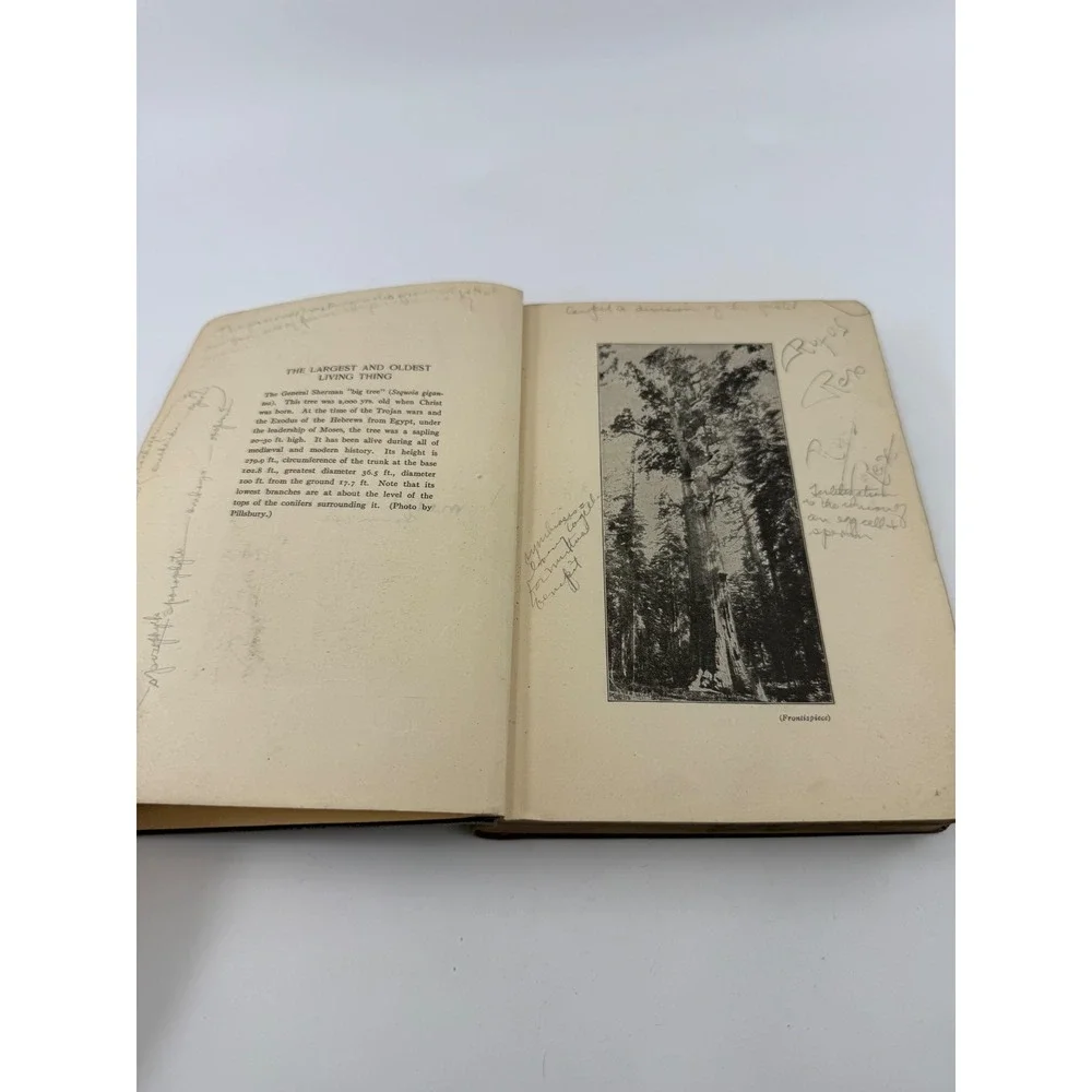 Fundamentals of Botany C Stuart Gager Antique Science Textbook 1917